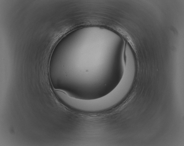 X0000116630481200912241815