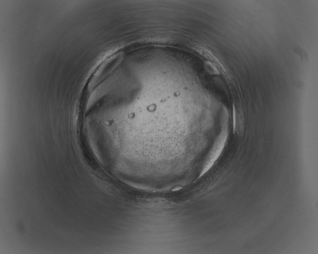 X0000116630483200912241815