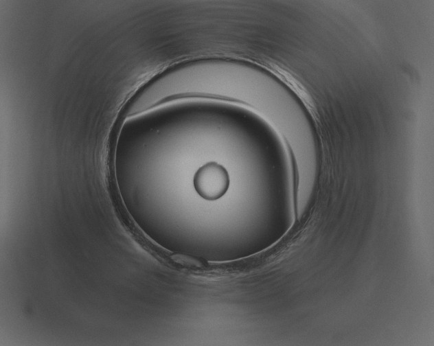 X0000116630485200912241815