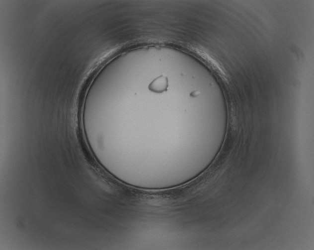 X0000116630486200912241815