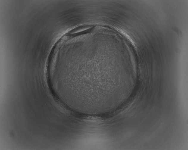 X0000116630487200912241815