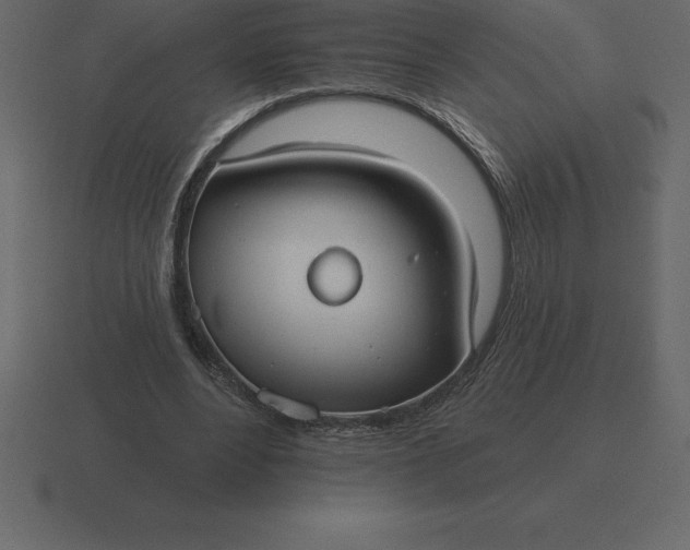 X0000116630488200912241815