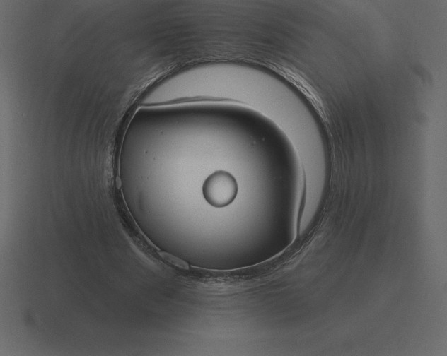 X0000116630489200912241815