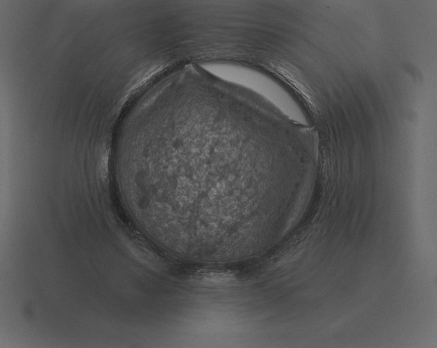 X0000116630491200912241815