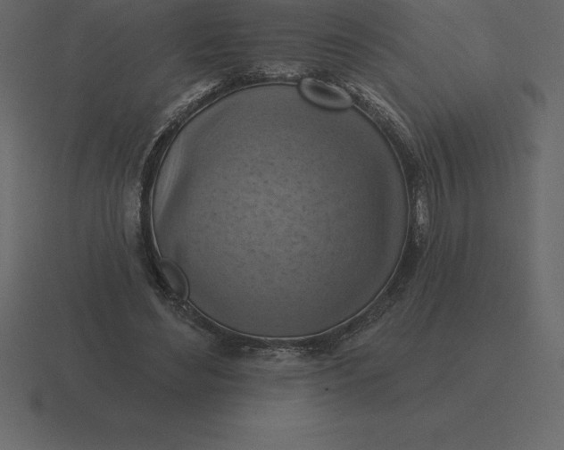 X0000116630492200912241815