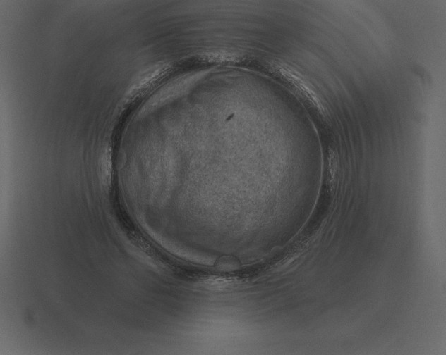 X0000116630494200912241815