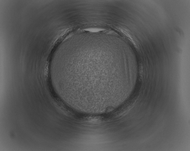 X0000116630495200912241815