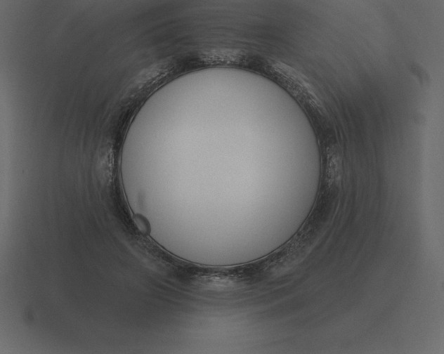 X0000116630498200912241815