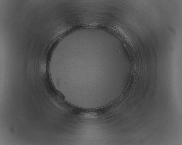 X0000116630500200912241815