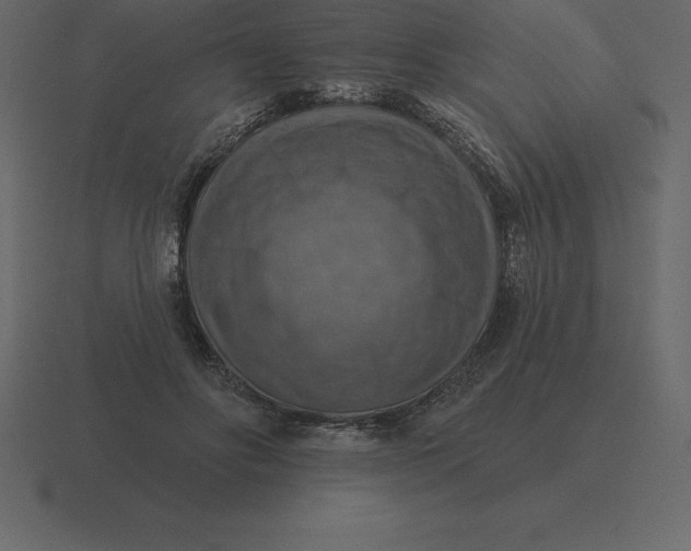 X0000116630502200912241815