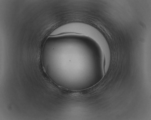 X0000116630505200912241815