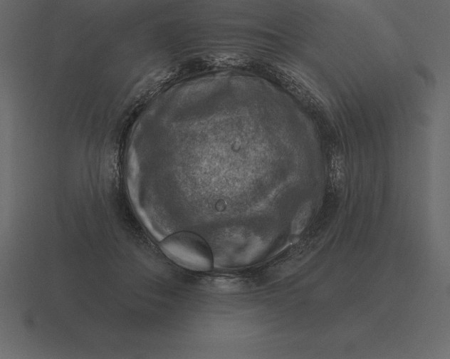 X0000116630506200912241815