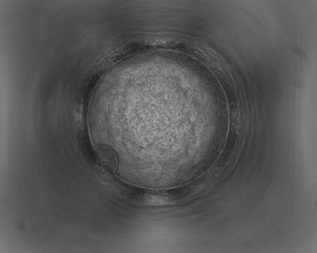 X0000116630510200912241815