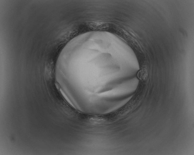 X0000116630515200912241815