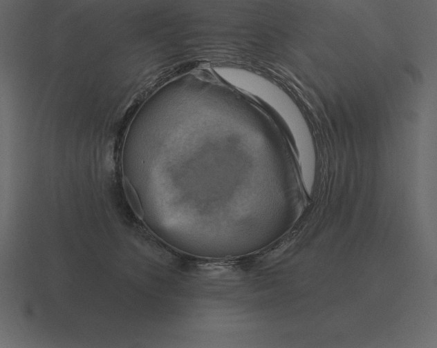 X0000116630516200912241815