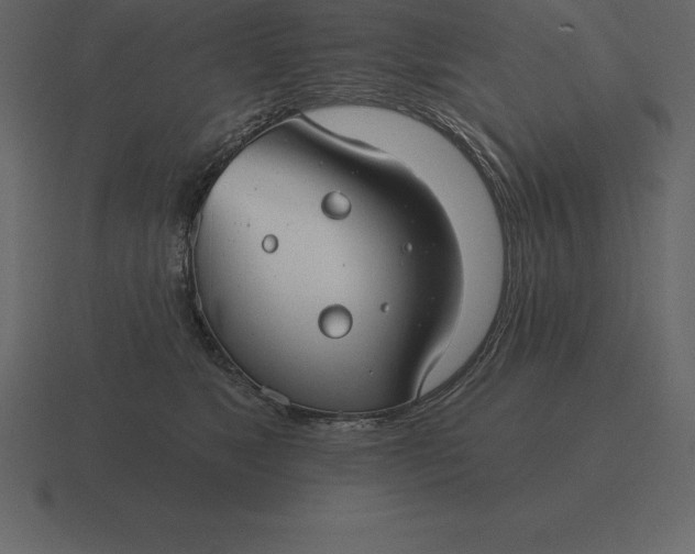 X0000116630517200912241815