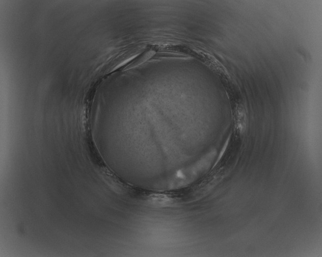 X0000116630519200912241815