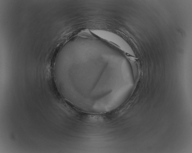 X0000116630520200912241815