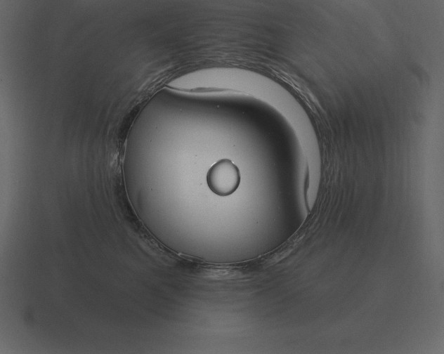 X0000116630521200912241815