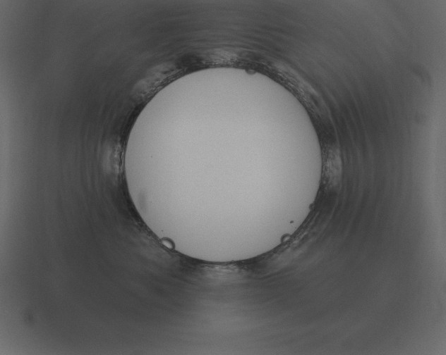 X0000116630525200912241815