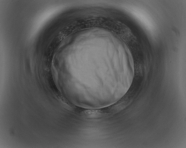 X0000116630526200912241815