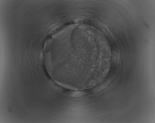 X0000116630527200912241815