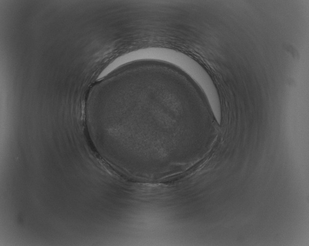 X0000116630528200912241815