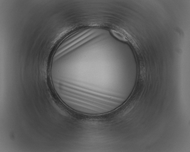 X0000116630530200912241814