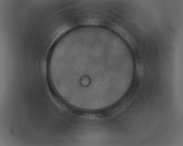 X0000116630534200912241814