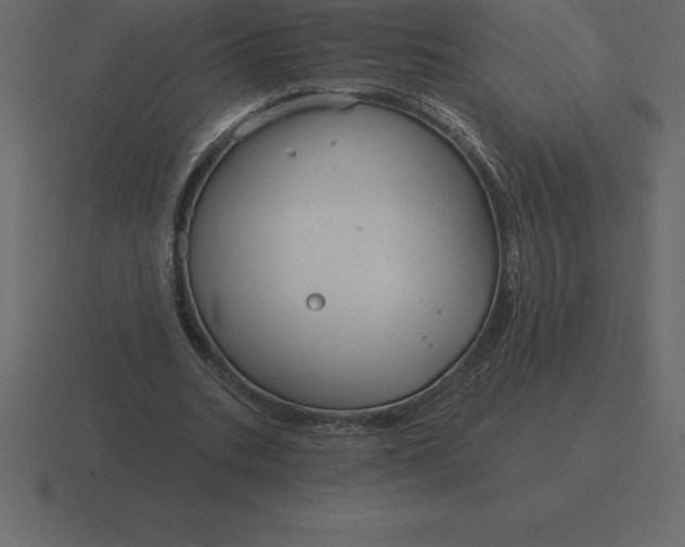 X0000116630535200912241814