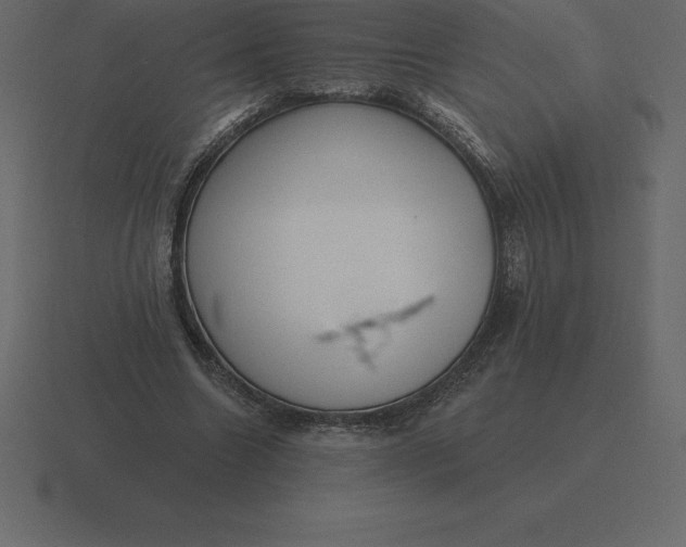 X0000116630538200912241814