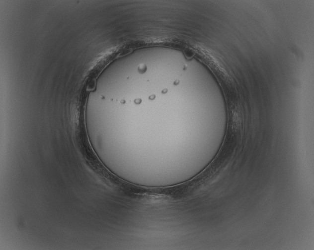 X0000116630539200912241814