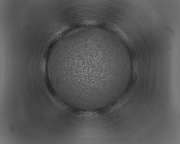 X0000116630542200912241814