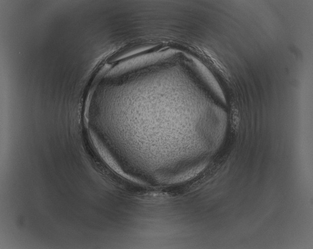 X0000116630543200912241814