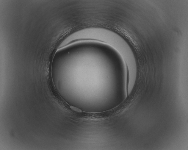 X0000116630545200912241814