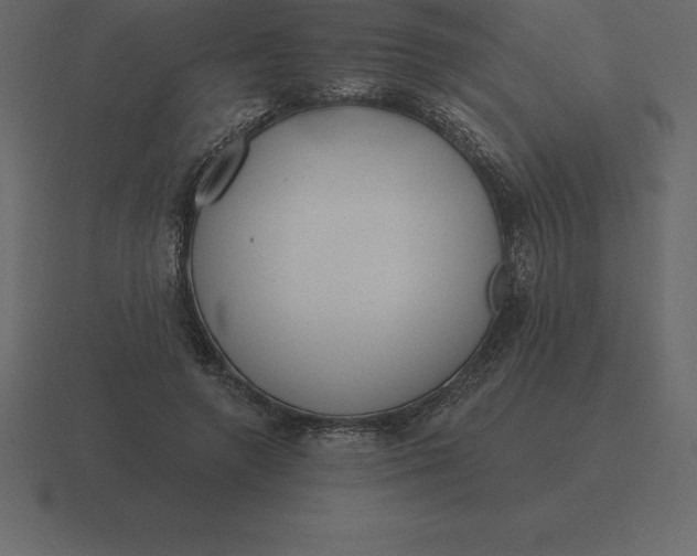 X0000116630546200912241814