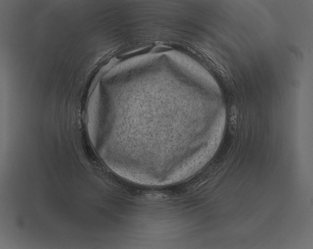 X0000116630547200912241814