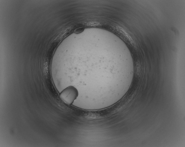 X0000116630549200912241814