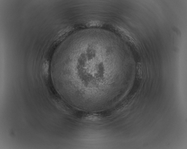 X0000116630550200912241814