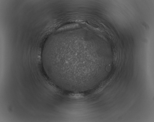 X0000116630553200912241814