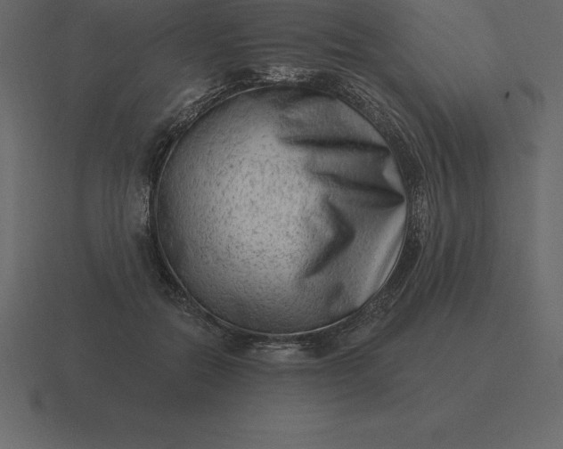 X0000116630554200912241814