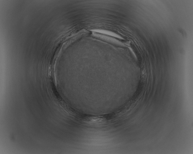 X0000116630555200912241814