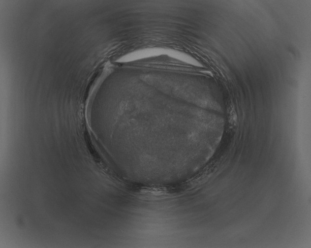 X0000116630559200912241814