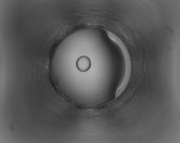 X0000116630561200912241814