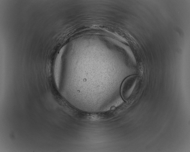 X0000116630565200912241814