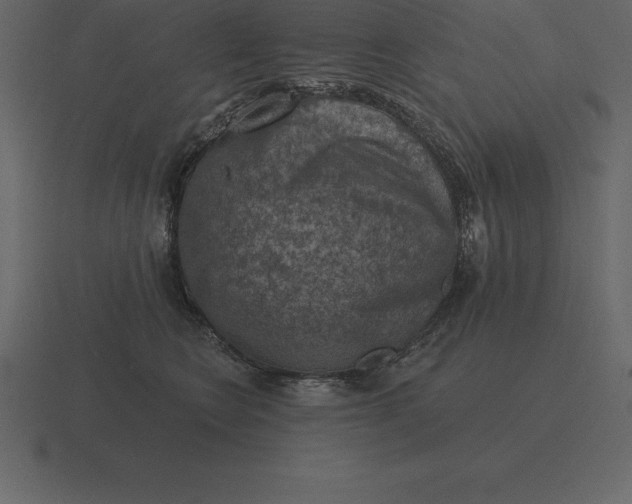 X0000116630566200912241814