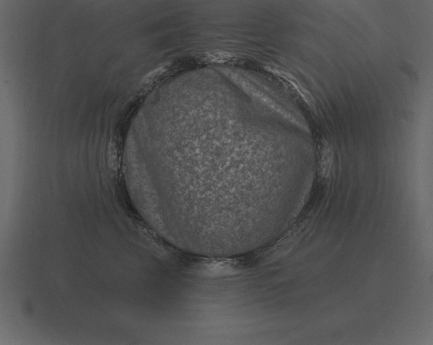 X0000116630569200912241814