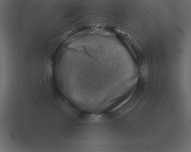 X0000116630570200912241814