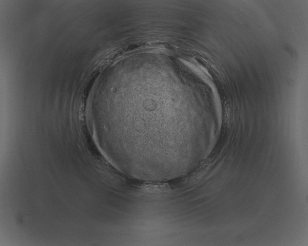 X0000116630571200912241814