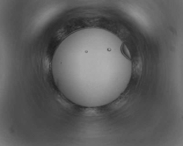 X0000116630574200912241815